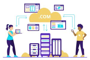 Illustration of web developers transferring domain